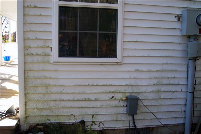 Typical green mildew on white vinyl house siding sprayed with Ultra One G5 sets for a short while.