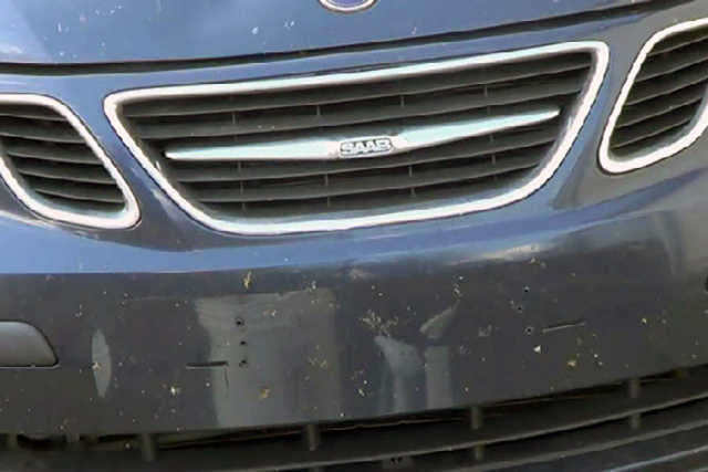 Saab front bumper covered with bugs.