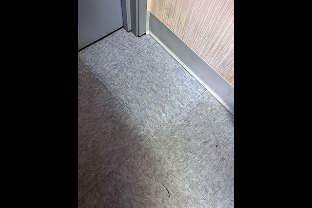 Carpet floor cleaned with Ultra One Heavy Duty in upper right tile.